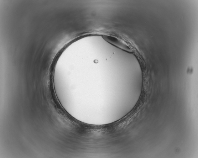 X0000090740344200708101707