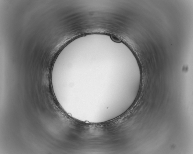 X0000090740345200708101707