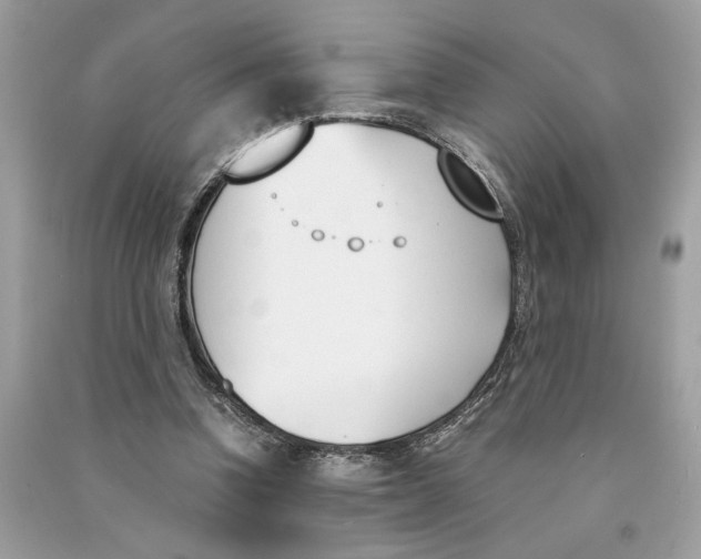 X0000090740346200708101707