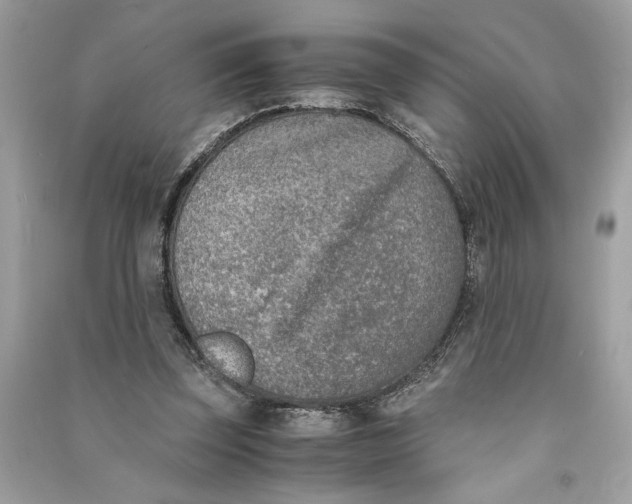 X0000090740347200708101707