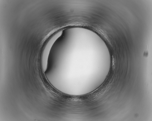 X0000090740348200708101707