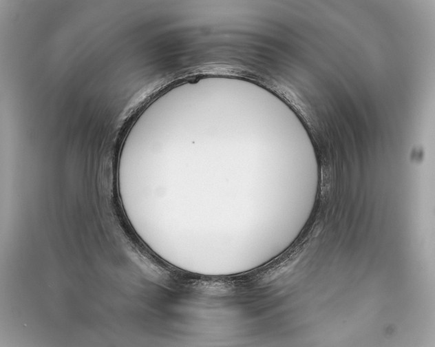 X0000090740349200708101707