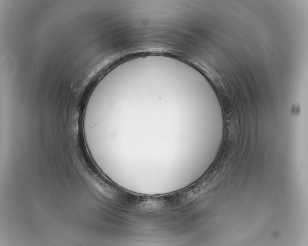 X0000090740350200708101707