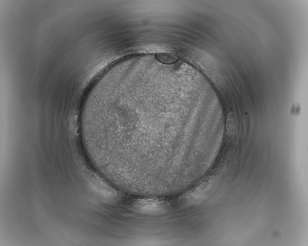 X0000090740351200708101707