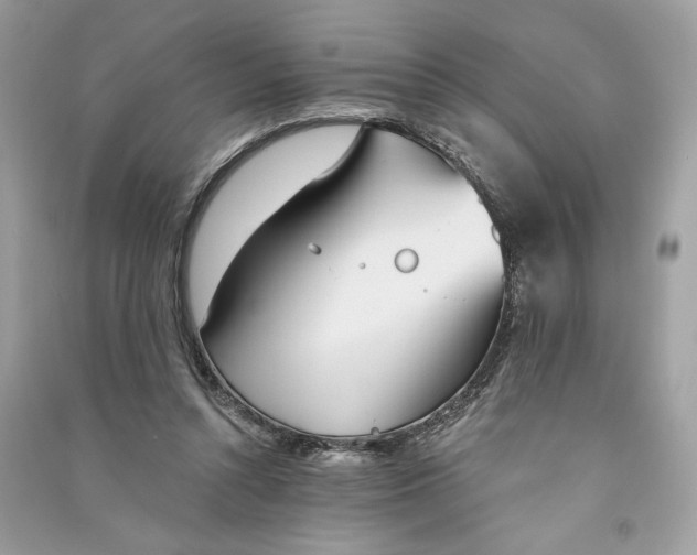 X0000090740352200708101707