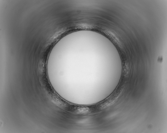 X0000090740355200708101707