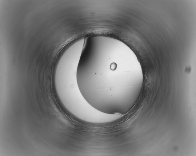 X0000090740356200708101707