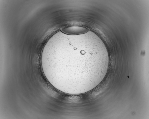 X0000090740357200708101707