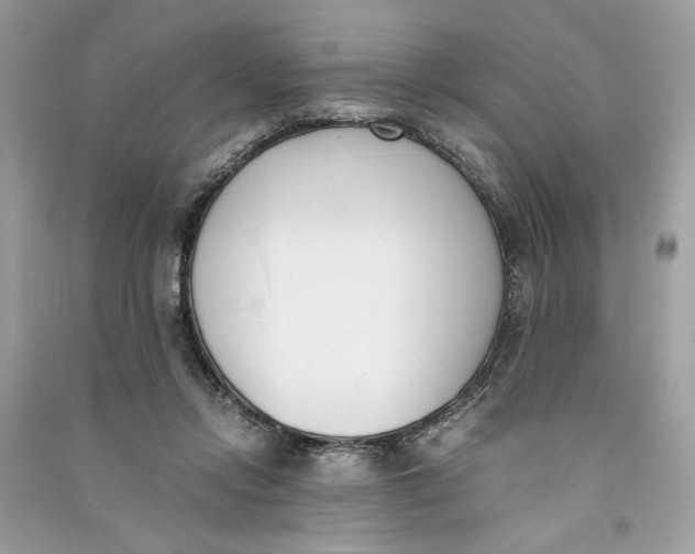 X0000090740358200708101708