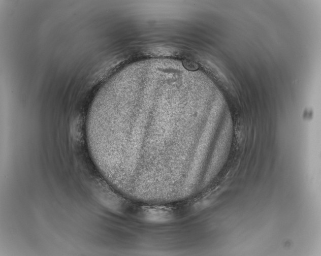 X0000090740359200708101708