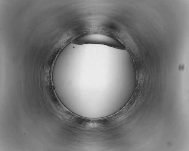 X0000090740360200708101708