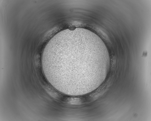 X0000090740361200708101708