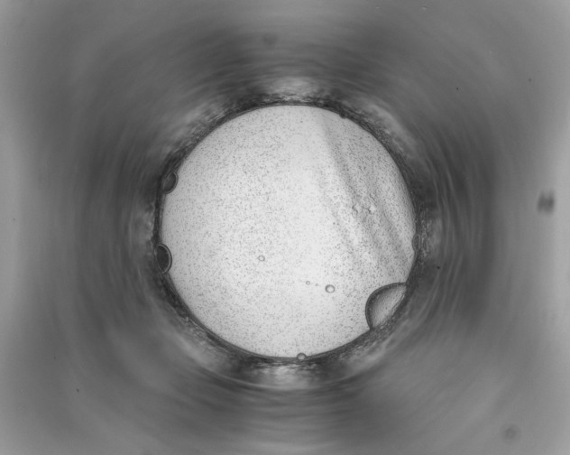 X0000090740365200708101708