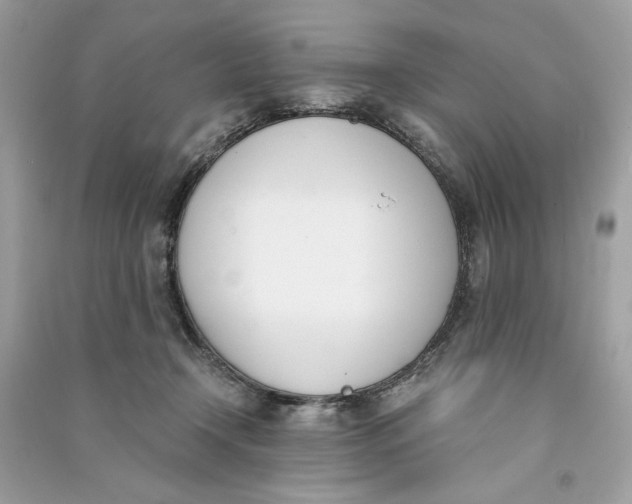 X0000090740366200708101708