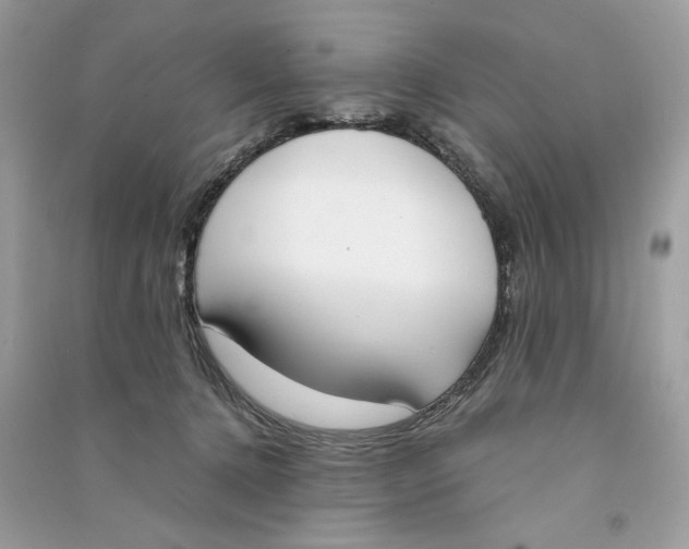 X0000090740368200708101708