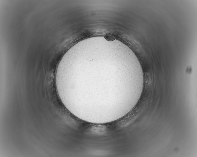 X0000090740369200708101708