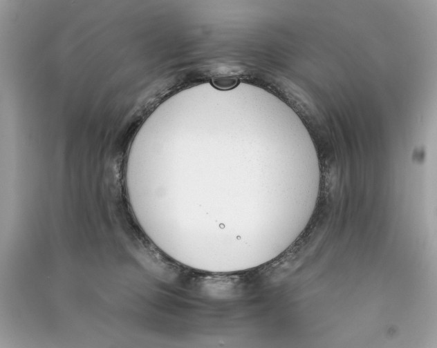 X0000090740373200708101708