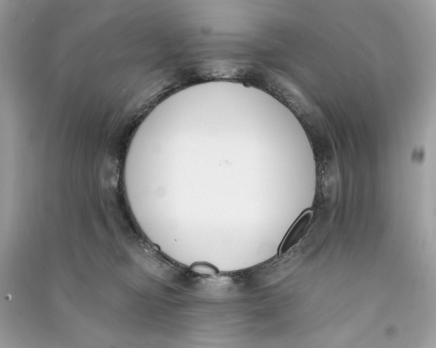 X0000090740374200708101708