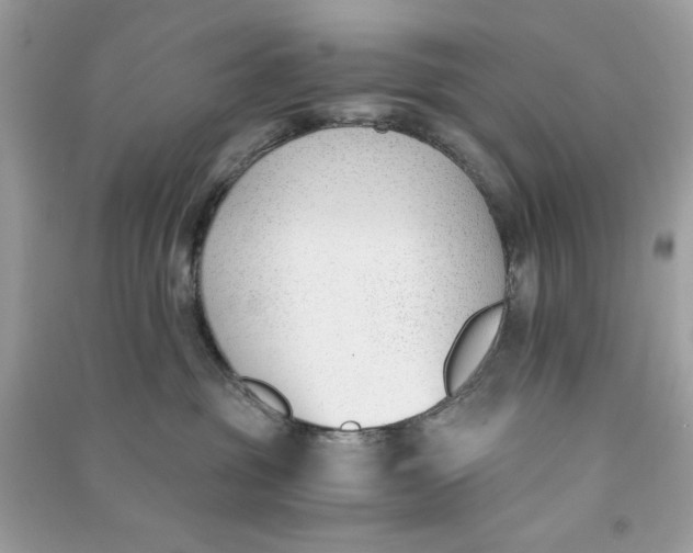 X0000090740381200708101708