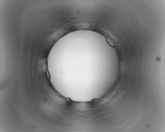 X0000090740383200708101708