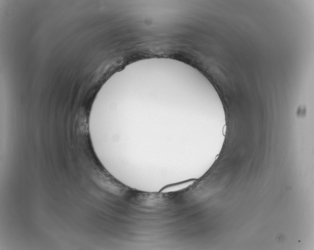 X0000090740384200708101708