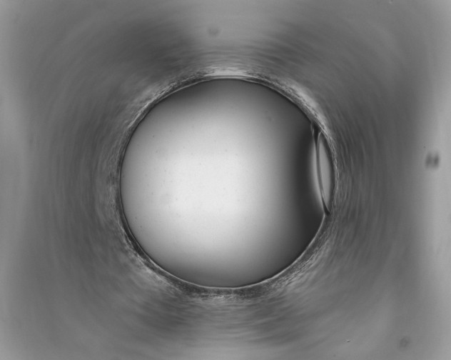 X0000090740385200708101707