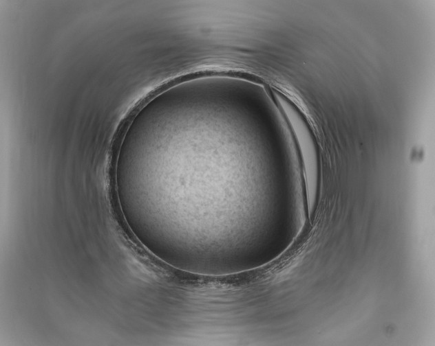 X0000090740387200708101707