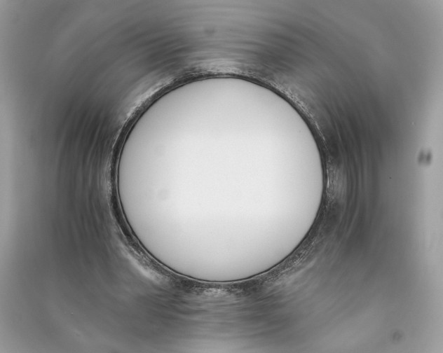 X0000090740390200708101707