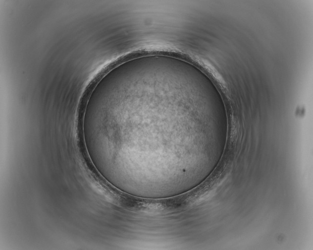 X0000090740391200708101707