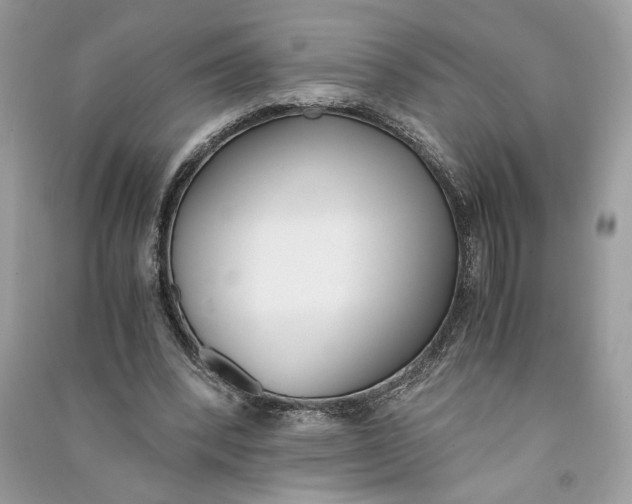 X0000090740392200708101707