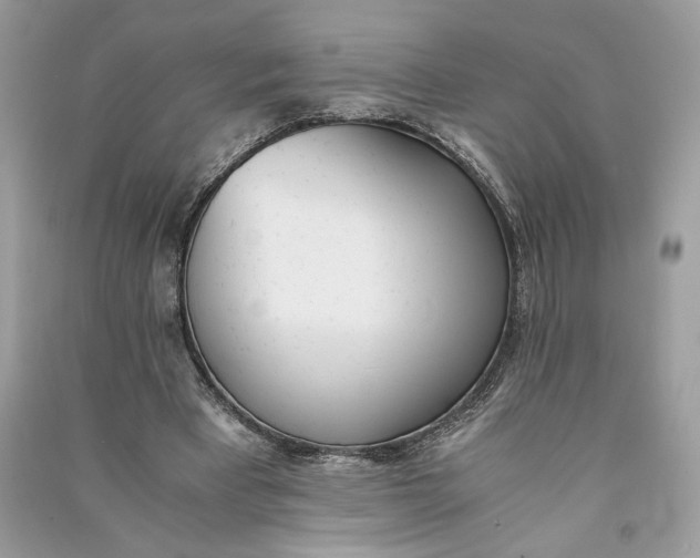 X0000090740393200708101707