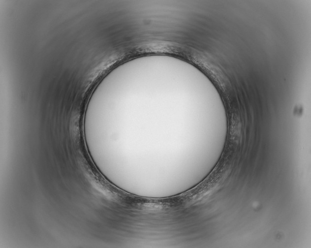 X0000090740394200708101707