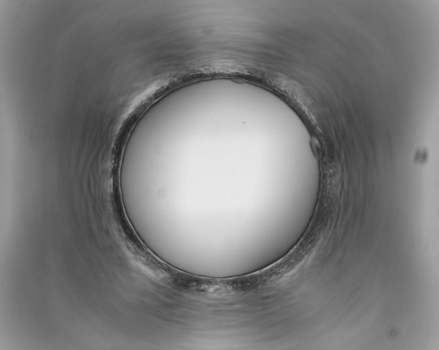 X0000090740395200708101707