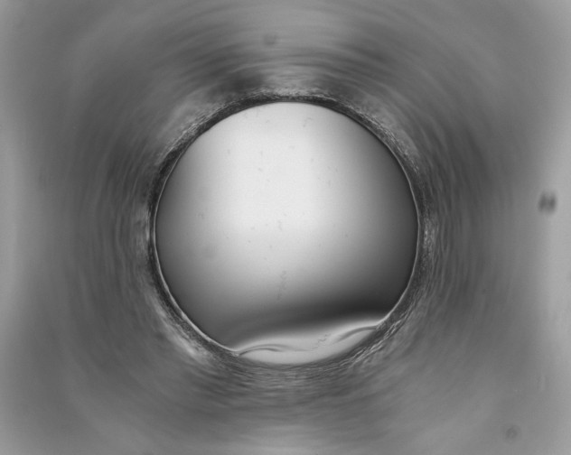 X0000090740397200708101707