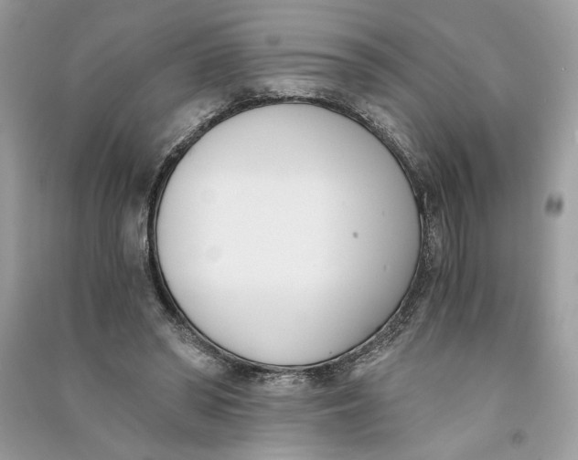 X0000090740398200708101707