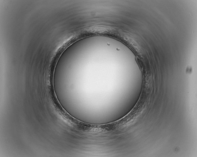 X0000090740399200708101707