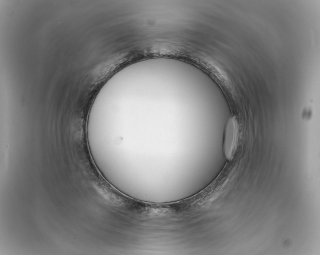 X0000090740401200708101707