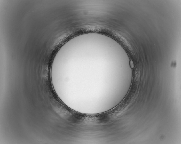 X0000090740403200708101707