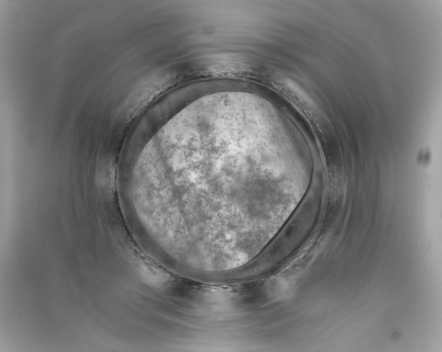 X0000090740405200708101707