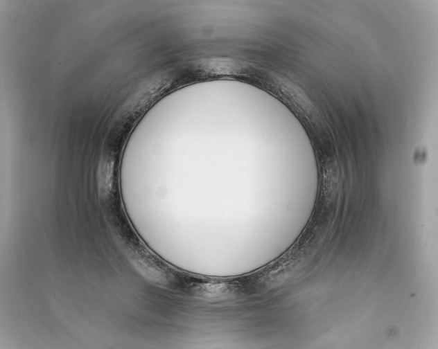 X0000090740406200708101707