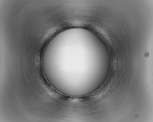 X0000090740407200708101707