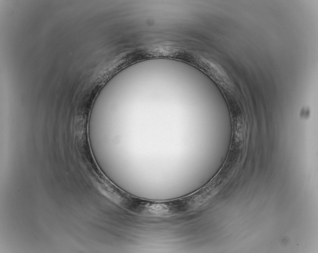 X0000090740409200708101707