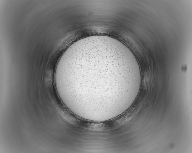 X0000090740410200708101707