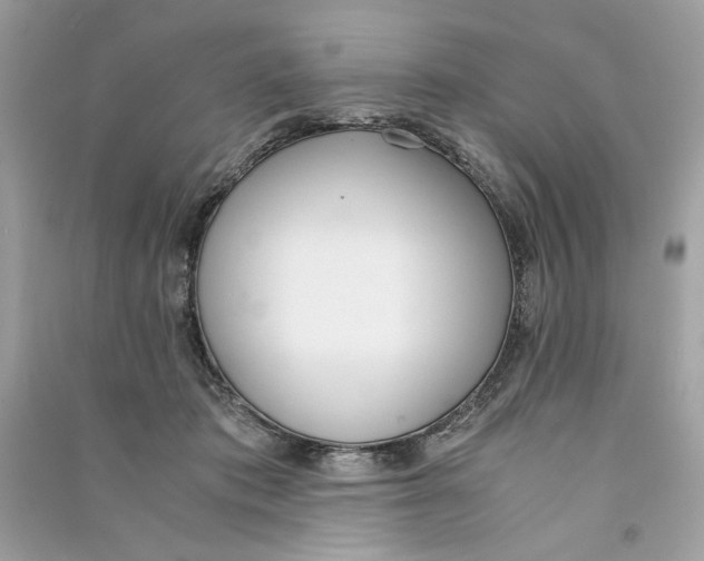 X0000090740413200708101707