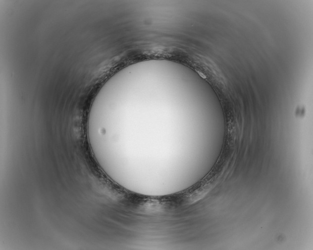 X0000090740416200708101707