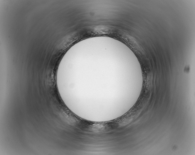 X0000090740418200708101707