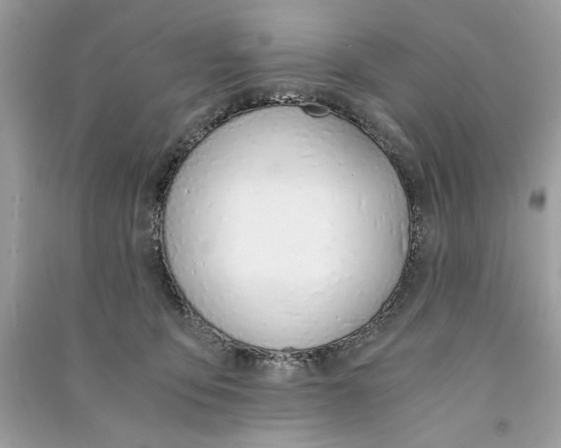 X0000090740419200708101707