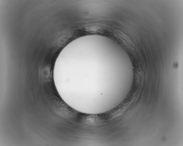 X0000090740420200708101707