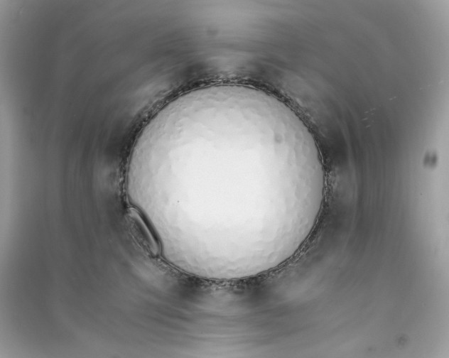 X0000090740423200708101707