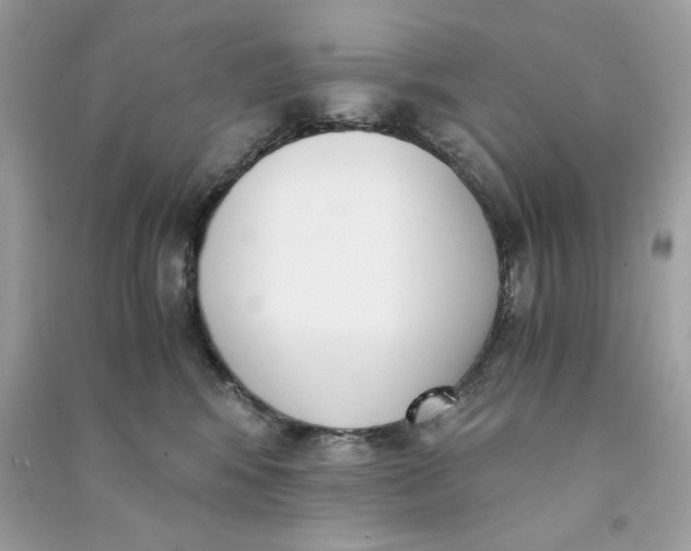 X0000090740424200708101707